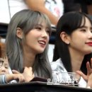 루다