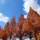 외동반림로248번길 이미지