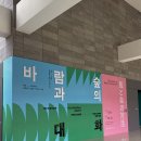 숲의 마음 | 제주도립미술관 3월 전시 <바람과 숲의 대화> 관람 후기