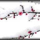 관음사 가는길 이미지