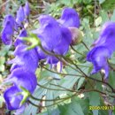 만항등산로입구 이미지