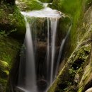 진안읍 1255 이미지