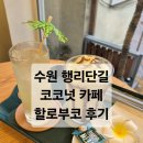 할로부코 | <수원 행궁동 카페 할로부코> 행리단길 데이트 카페 추천 코코넛 음료 솔직 후기