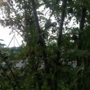 성희농장 이미지