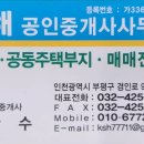 솔안공원 앞 이미지