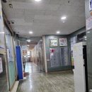 대치동 초고 인기 영어학원/ ILE 해빛나인 이맥스 레테 후기