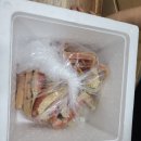 기장싱싱대게 이미지