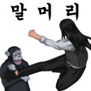 디씨티라인 네이버블로그