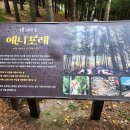 애니농장 이미지