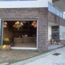 탄스비치 이미지