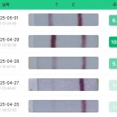 루터약국 | 잠실 미래연 여성의원 : 배란초음파 후기