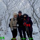 산들바람 이미지