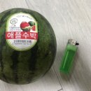 이마트에브리데이 번동점 네이버블로그