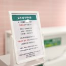 종로애견미용 이미지