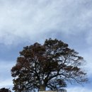 소반뫼스테이 이미지