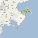 대왕암솔바람길 이미지