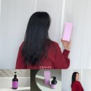스칼렛헤어샵 - 창원시 마산회원구 | 아르투아스칼렛탈모샴푸 내돈내산후기