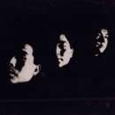샴푸의요정 - 동구 중앙로196번길 31-3 | 샴푸의요정