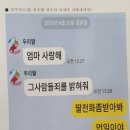 경주시청-3 이미지