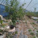 성찬농장 이미지