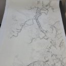 [중급]민화 이미지