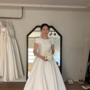 참조은한드레스(Dress) | W14. 모드니 본식 드레스 피팅 후기(본식 드레스 계약 완료)