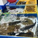 조은상회 이미지