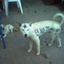 에버민박 이미지