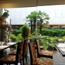 (주)헬로우스시 이미지