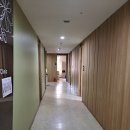 새미래정형외과의원 | 새미래정형외과의원(창원점)