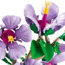 보태니컬 이미지