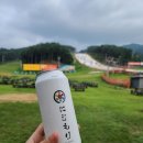 CU포천내촌점 | 포천 가볼만한곳 루지월드 베어스타운 리조트 야외바베큐