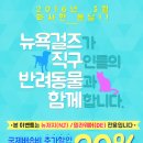 웨그(Wag) 이미지