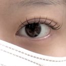 더리터동탄노르웨이숲점 | 동탄 누네하우스에서 LED 속눈썹연장 + 속눈썹펌 해본 솔직후기