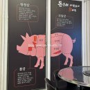 돈구이 바람났네 닭이랑 이미지