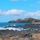 자구네 해적잠수함 이미지