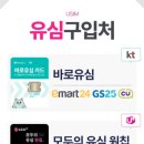 동탄선불폰
