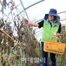 세도농협 하나로마트 이미지