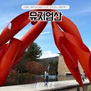 뮤지엄산(청조갤러리) | 뮤지엄 산 강원도 원주 가볼만한 곳 티켓 가격 내돈내산 후기