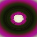 (주)놀람 이미지