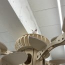 설렘고양이카페 이미지