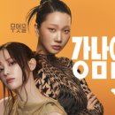 레브의원 이미지