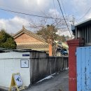 [군산] 가성비 좋은 신흥동 일본식 가옥 근처 숙소 “게스트하우스 이웃” 등나무방 후기