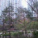 뉴대림공인중개사사무소 이미지