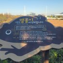 나룻터