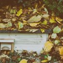 경기버스라운지 이미지