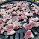 남양토담오리 이미지