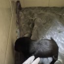 햇님달님 Daum카페