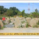 25시카서비스 이미지