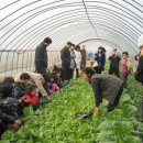 성대농장 이미지